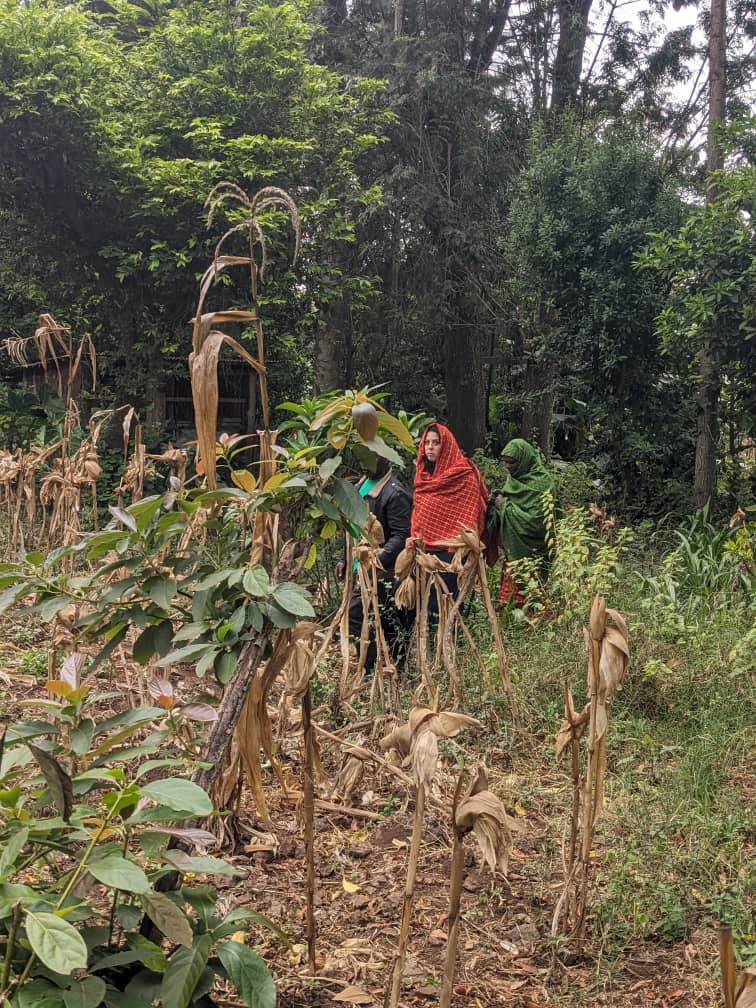 Hope in Every Seed photo