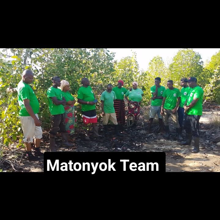 Mangrove Restoration at Mashewa, Tanga Region