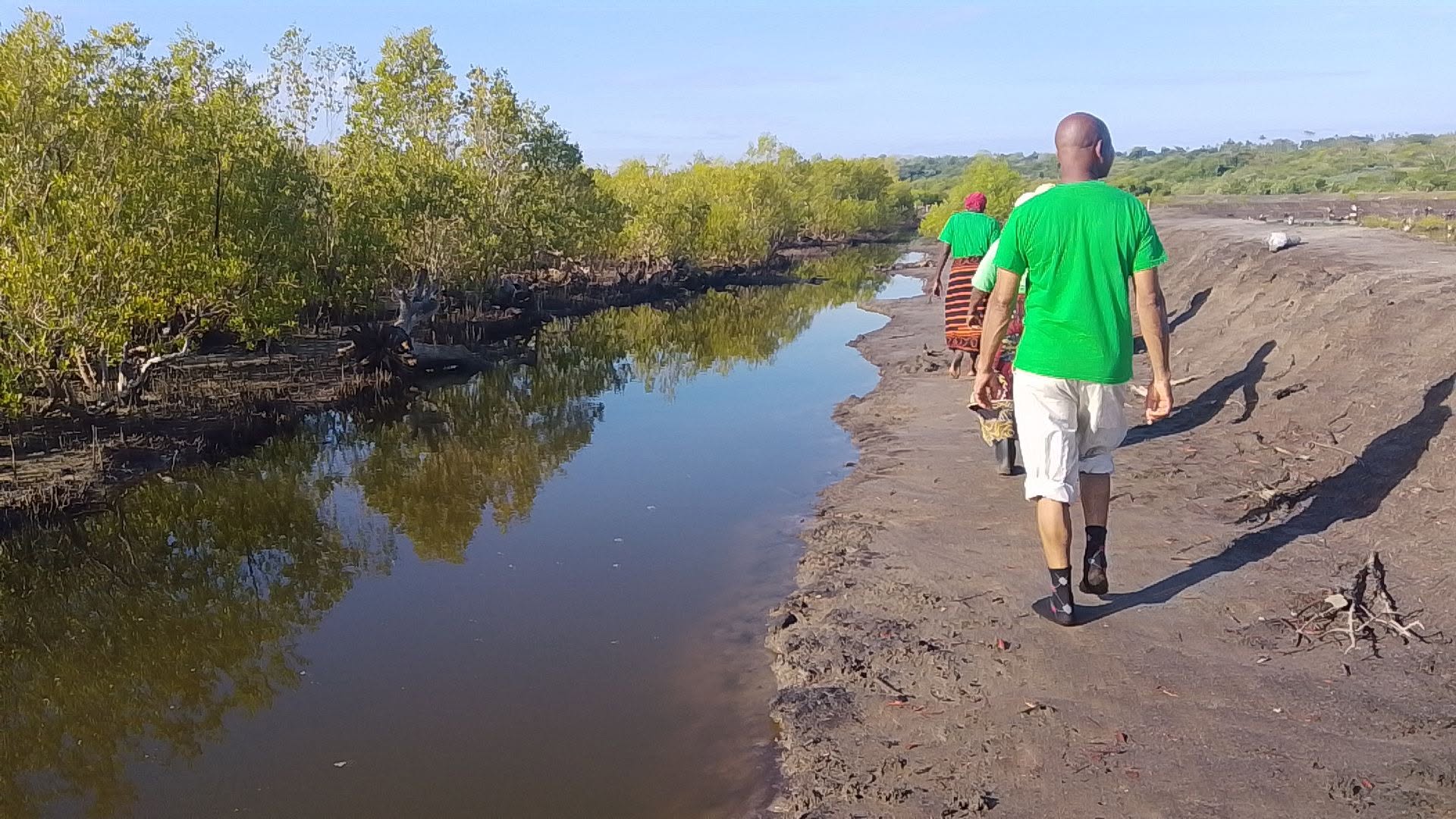 Mangrove Restoration at Mashewa, Tanga Region - photo 7